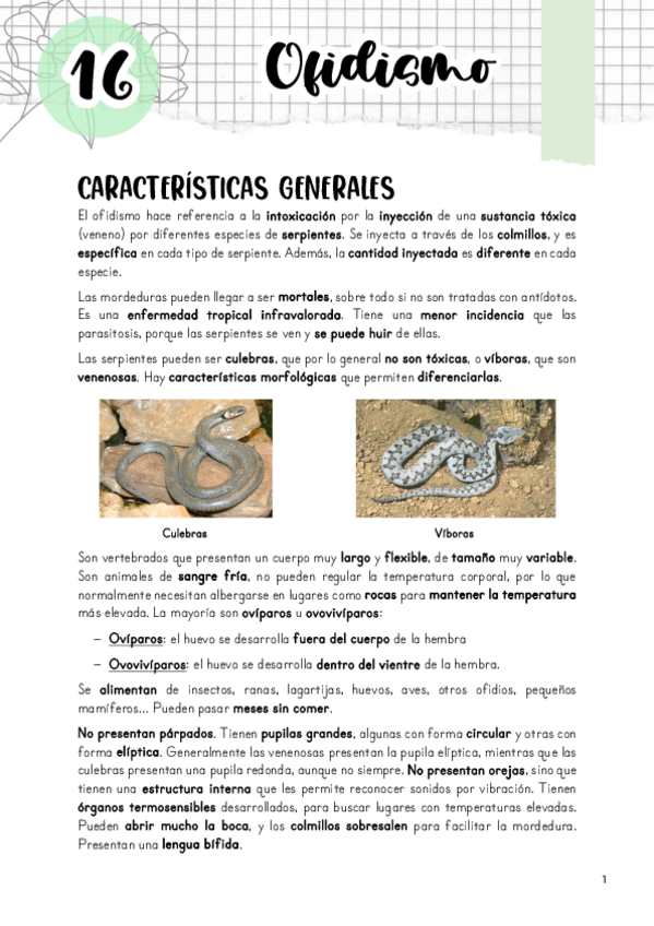 Miniatura del documento Tema-16.-Ofidismo.pdf