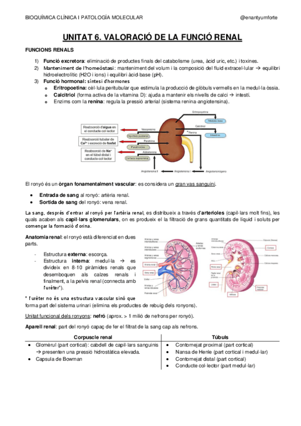 Miniatura del documento UNITAT-6-BQ.pdf