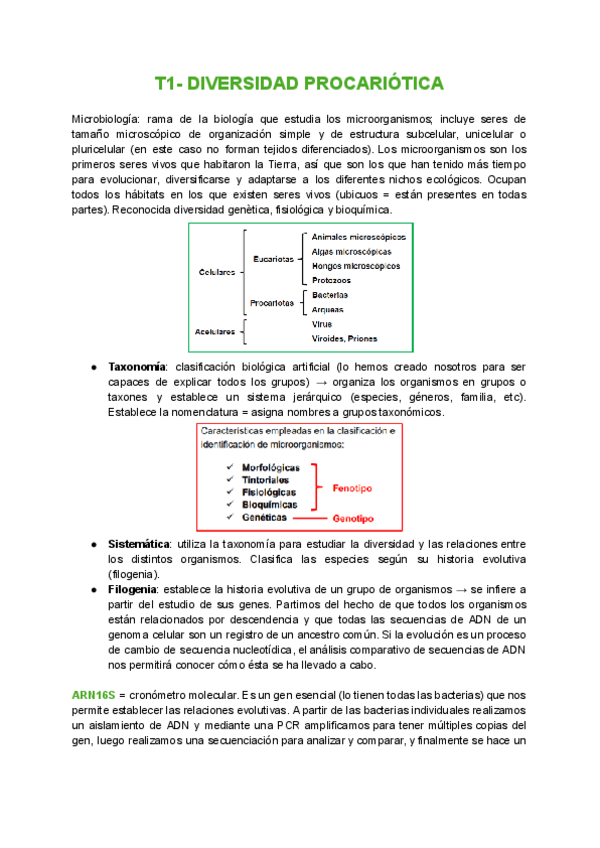 Miniatura del documento T1-Diversidad-procartiotica.pdf