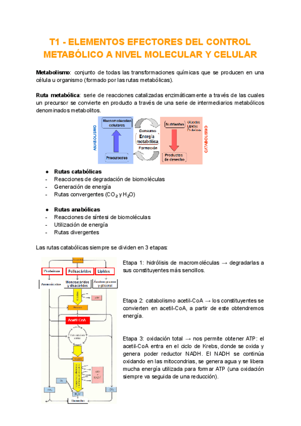 Miniatura del documento Tema-1.pdf