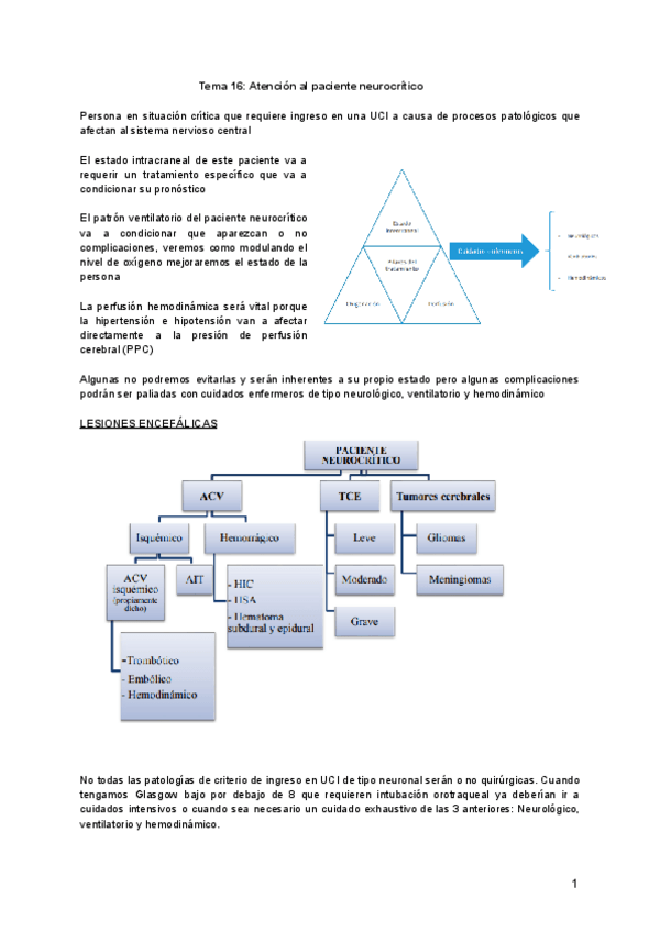 Miniatura del documento Tema-16.-Adulto-VI.pdf