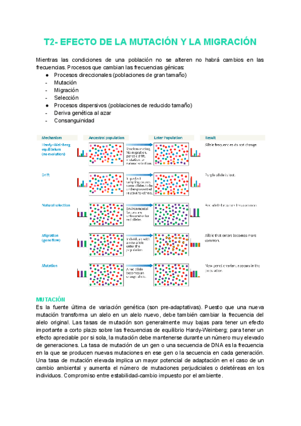 Miniatura del documento T2-Efecto-de-la-mutacion-y-la-migracion.pdf