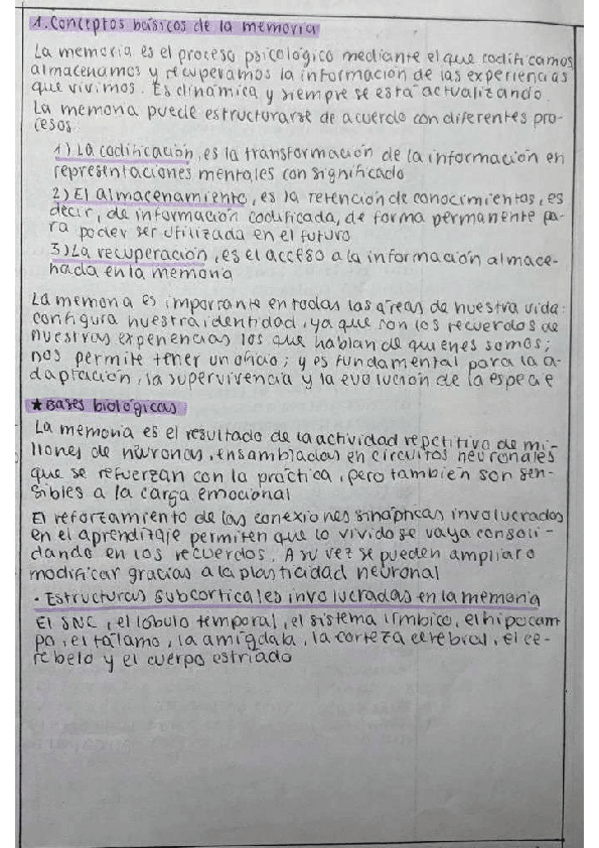 Miniatura del documento La-memoria.pdf