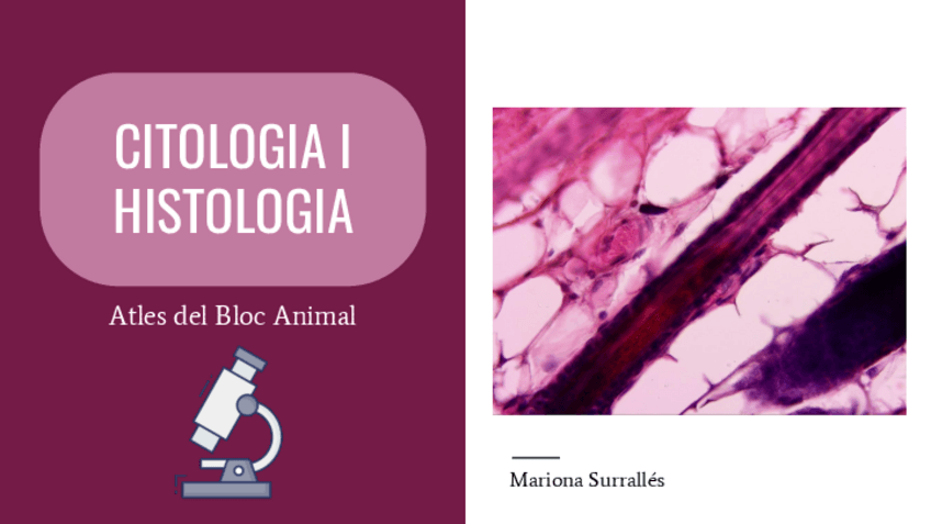Miniatura del documento CITOLOGIA-I-HISTOLOGIA-Atles-del-Bloc-Animal-Mariona-Surralles.pdf