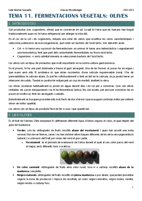 Miniatura del documento Tema-11.-Fermentacions-en-vegetals-olives.pdf