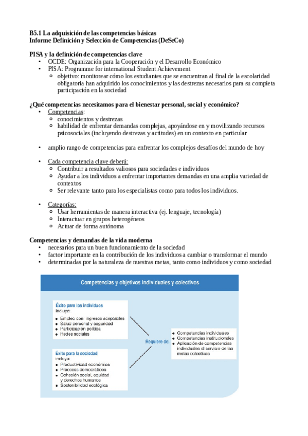 Miniatura del documento B5.1-DeSeCo.pdf