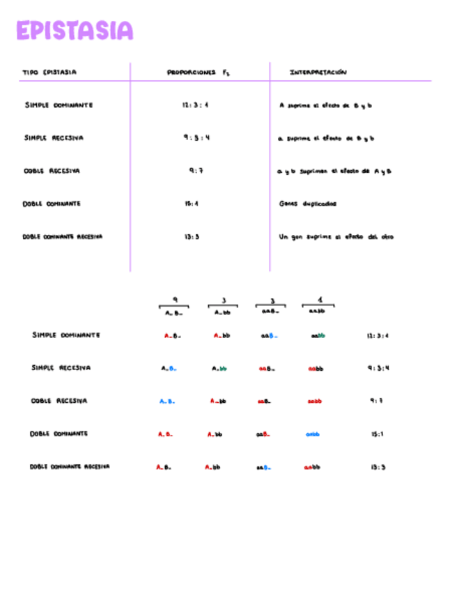 Miniatura del documento Epistasia.pdf