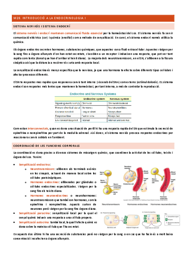 Miniatura del documento endocri1-si.pdf.pdf