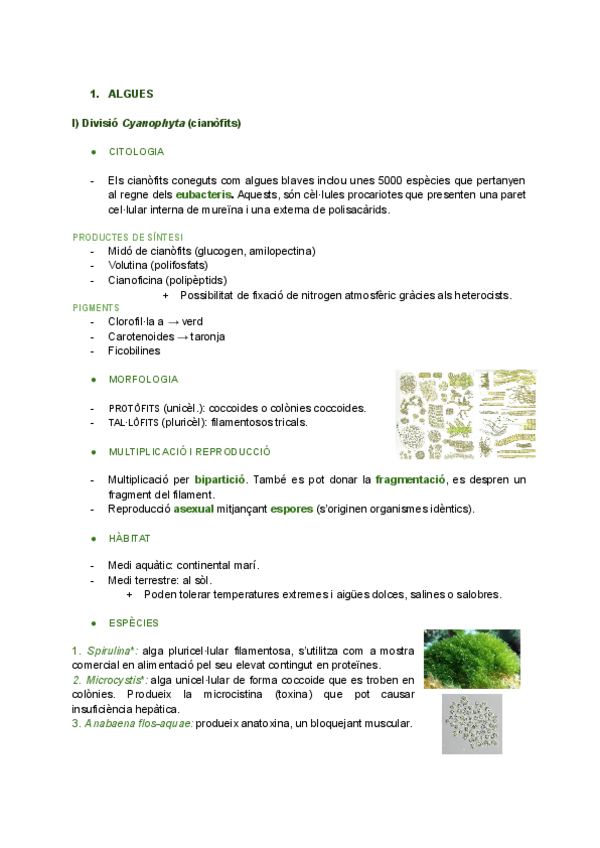 Miniatura del documento ALGUES-Joan-Valles.pdf