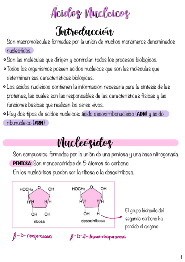 Miniatura del documento Acidos-Nucleicos.pdf