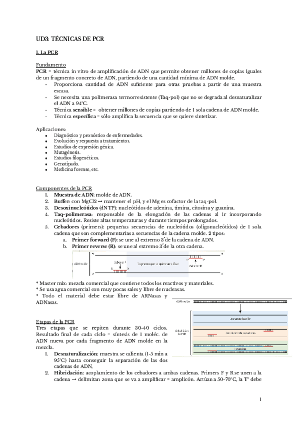 Miniatura del documento UD3-TECNICAS-DE-PCR-Resumen-ESP.pdf