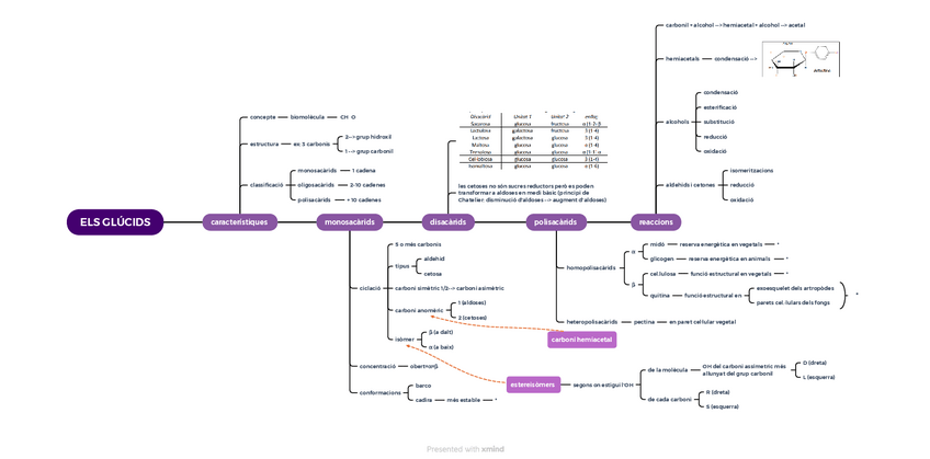 Miniatura del documento Carbohidrats.pdf