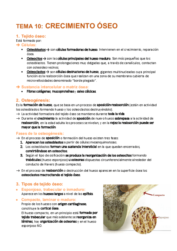 Miniatura del documento Tema-10-Crecimiento-oseo.pdf