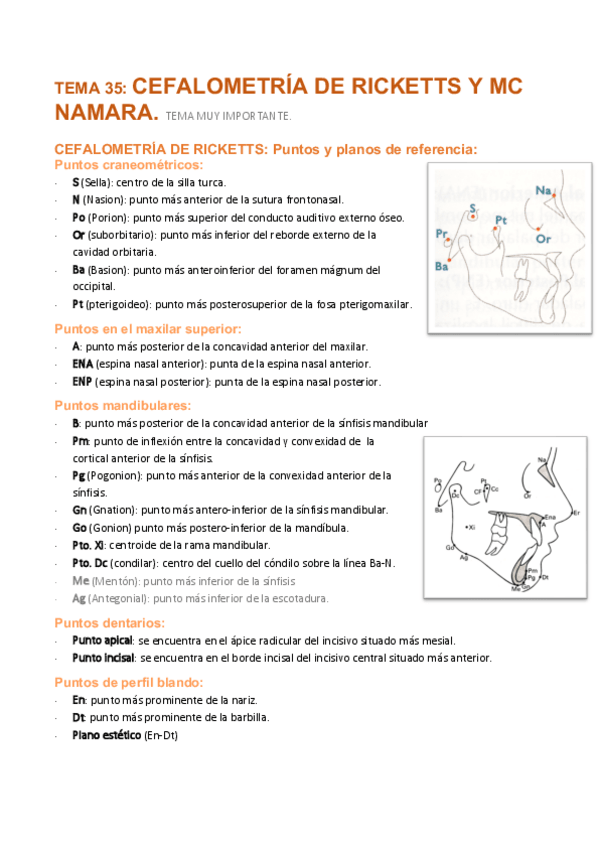 Miniatura del documento Tema-35-Cefalometria-Rickets-y-McNamara.pdf