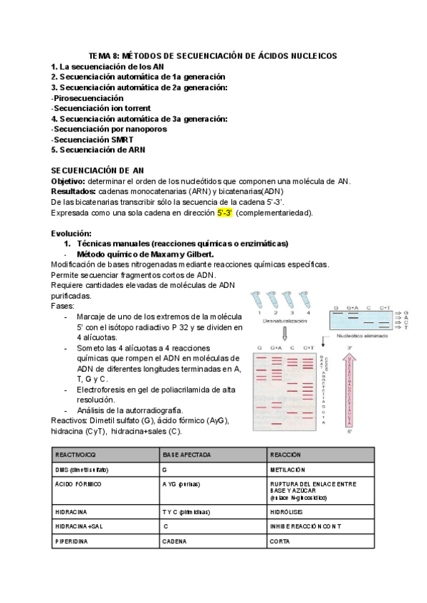Miniatura del documento Tema-8-secuenciacion-acidos-nucleicos.pdf