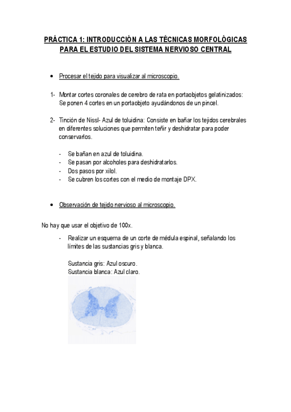 Miniatura del documento Practica-1-Fisiologia-animal-resumen.pdf