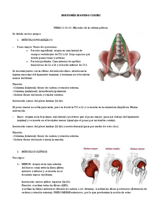 Miniatura del documento temario-segundo-cuatri.pdf