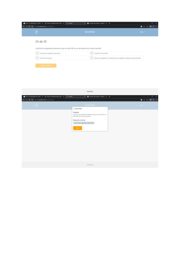 Miniatura del documento PREGUNTAS-TIPO-EXAMEN-SOCRATIVE.pdf