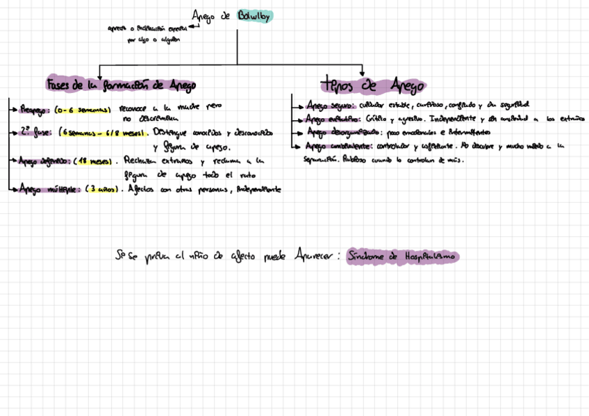 Miniatura del documento Esquema-Bolwlby.pdf