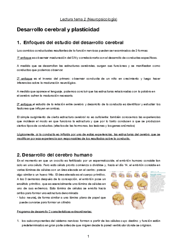 Miniatura del documento Resumen-tema-2-manual.pdf