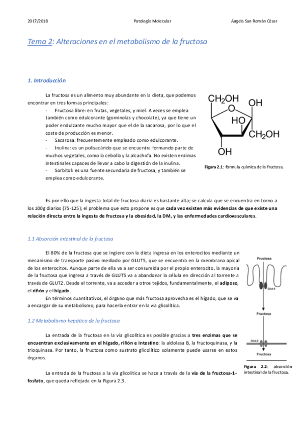 Miniatura del documento 2. Alteraciones en el metabolismo de la fructosa.pdf