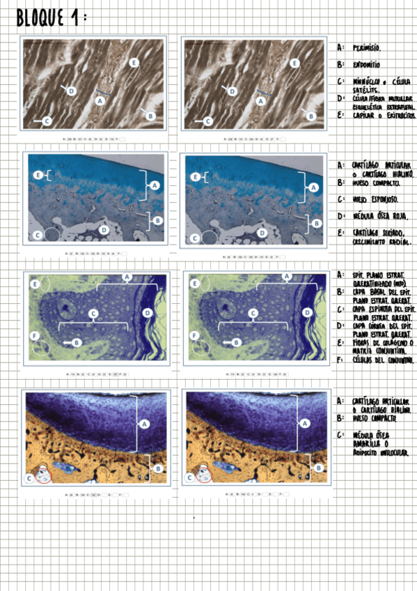 Miniatura del documento Bloque-1.pdf