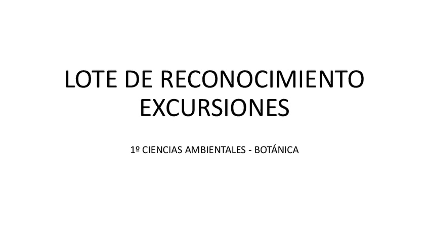 Miniatura del documento LOTE-DE-RECONOCIMIENTO-EXCURSIONES.pptx.pdf