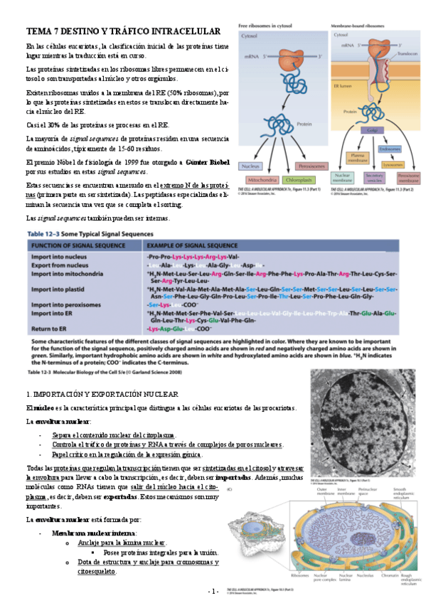 Miniatura del documento BIOLOGIA-MOLECULAR-TEMA-7-DESTINO-Y-TRAFICO-INTRACELULAR.pdf