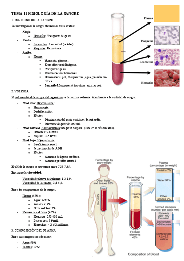 Miniatura del documento FISIOLOGIA-I-TEMA-11-FISIOLOGIA-DE-LA-SANGRE.pdf
