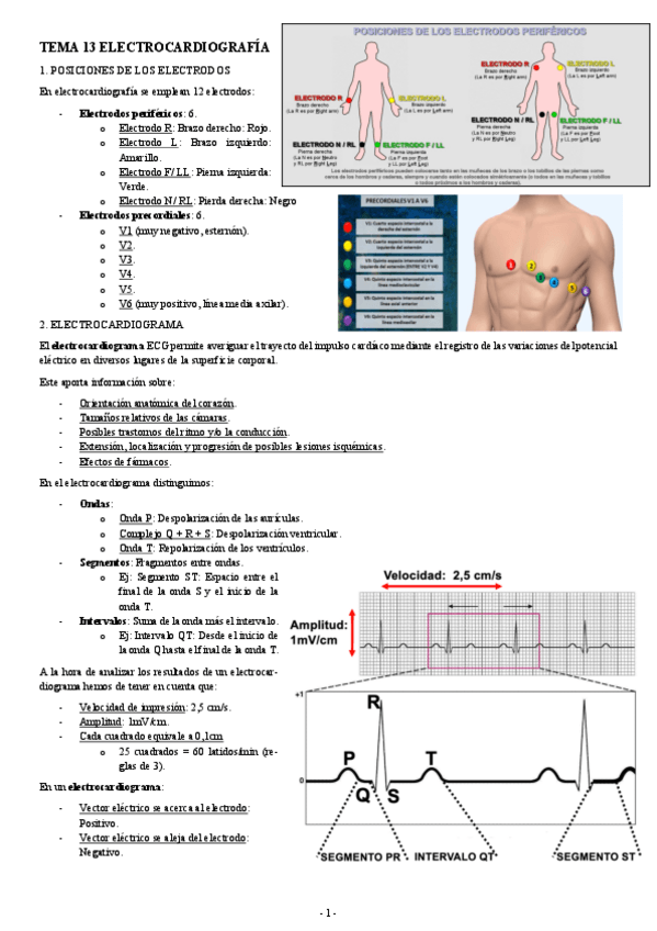 Miniatura del documento FISIOLOGIA-I-TEMA-13-ELECTROCARDIOGRAFIA.pdf