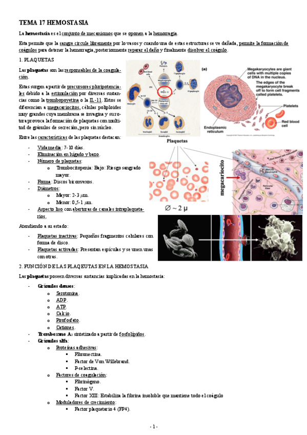 Miniatura del documento FISIOLOGIA-I-TEMA-17-HEMOSTASIA.pdf
