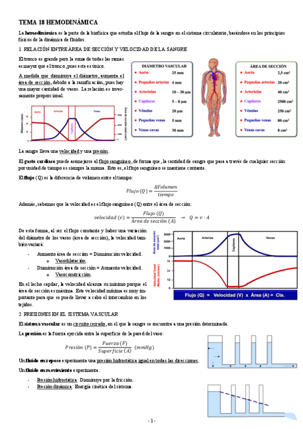 Miniatura del documento FISIOLOGIA-I-TEMA-18-HEMODINAMICA.pdf