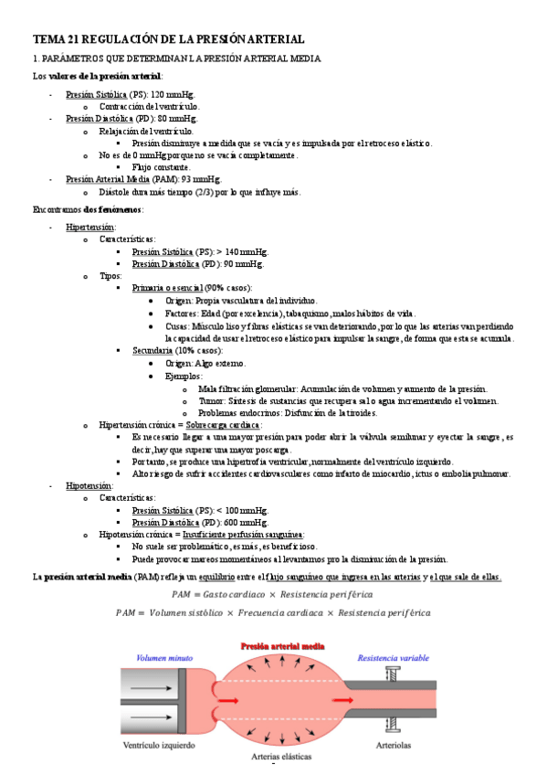 Miniatura del documento FISIOLOGIA-I-TEMA-21-REGULACION-DE-LA-PRESION-ARTERIAL.pdf