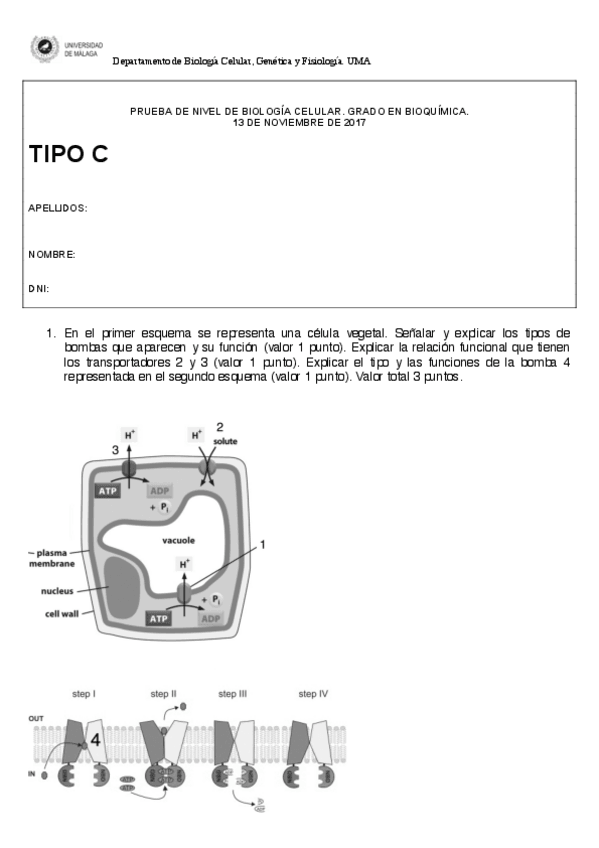 Miniatura del documento PRUEBA DE EVALUACIÓN CURSO 2017-2018 TIPO C.pdf