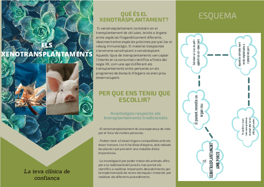 Miniatura del documento cicon-laianoa.pdf