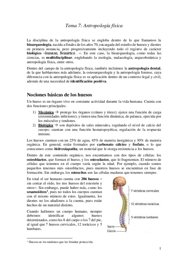 Miniatura del documento 7.-Antropologia-fisica.pdf
