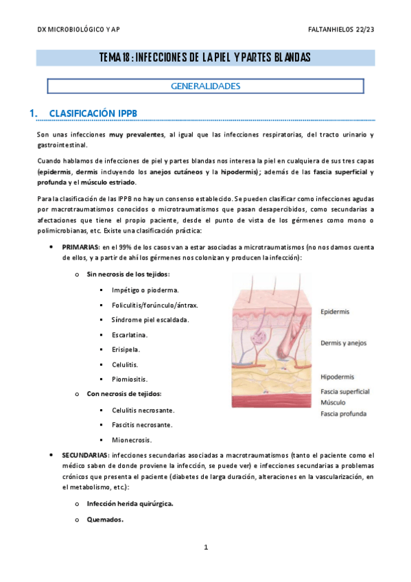 Miniatura del documento 18.-Infecciones-de-la-piel-y-partes-blandas.pdf