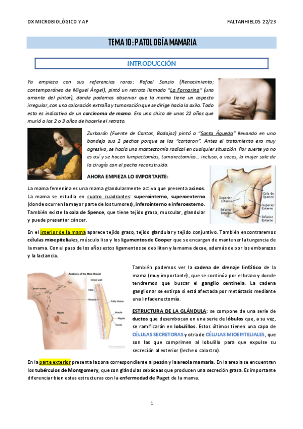 Miniatura del documento 10.-Patologia-mamaria.pdf