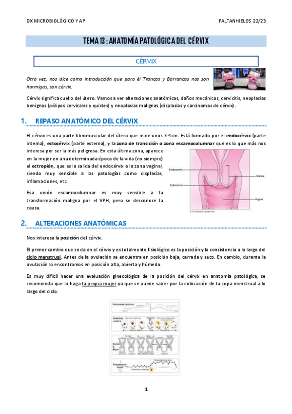 Miniatura del documento 13.-Anatomia-patologica-del-cervix.pdf