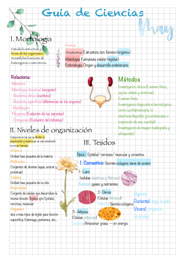 Miniatura del documento Guia-de-Ciencias.pdf