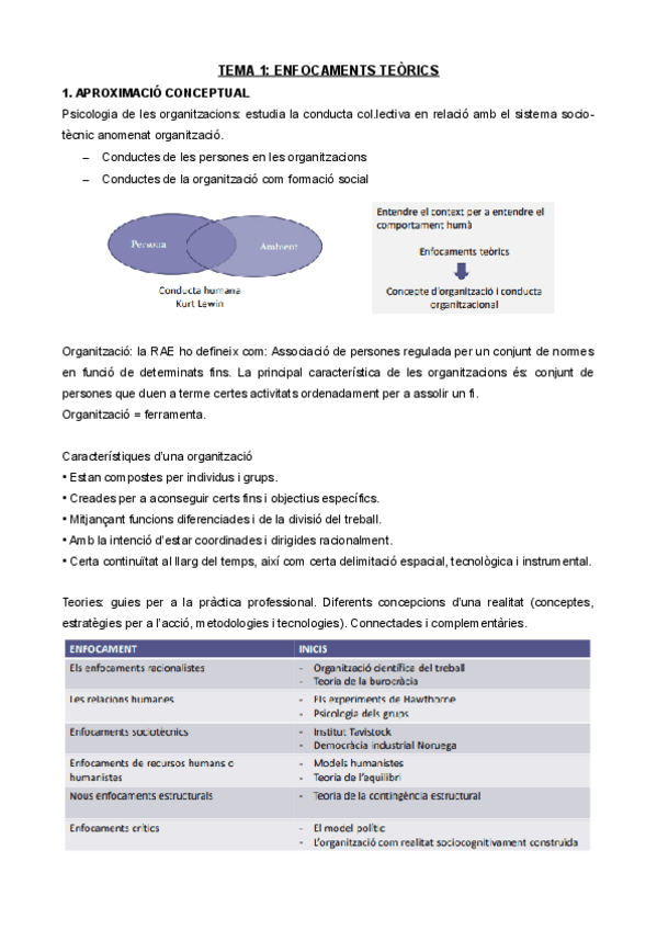 Miniatura del documento Apunts-complets-organitzacions.pdf