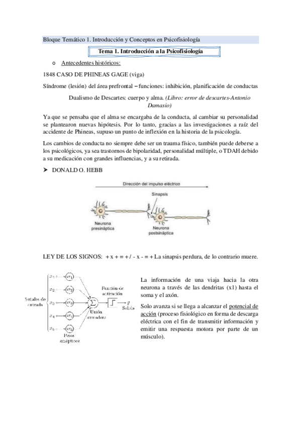 Miniatura del documento RESUMEN-T1-T2-psicofisiologia.pdf