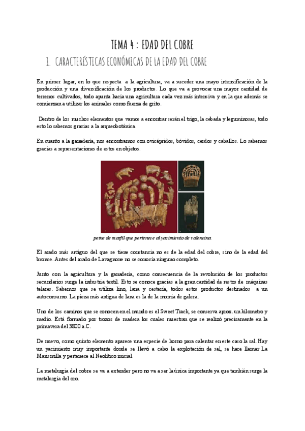 Miniatura del documento tema-4.pdf