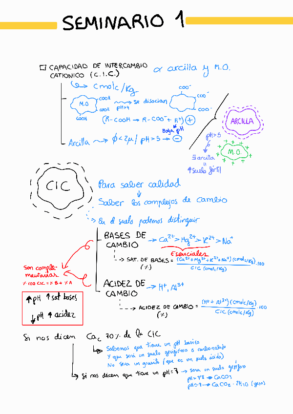 Miniatura del documento DCS-SEMINARIOS-PARTE-QUIMICA.pdf