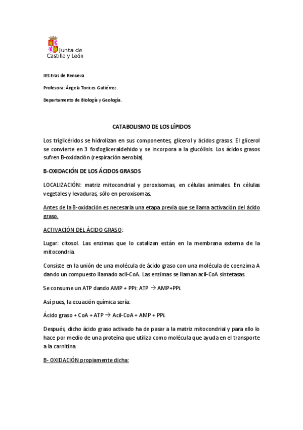 Miniatura del documento CATABOLISMO-DE-LOS-LIPIDOS-y-PROTEINAS.pdf