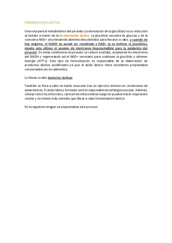 Miniatura del documento FERMENTACIONES.pdf