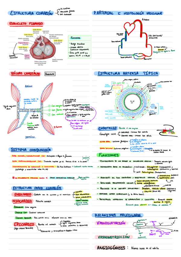 Miniatura del documento Biologia-M4.pdf