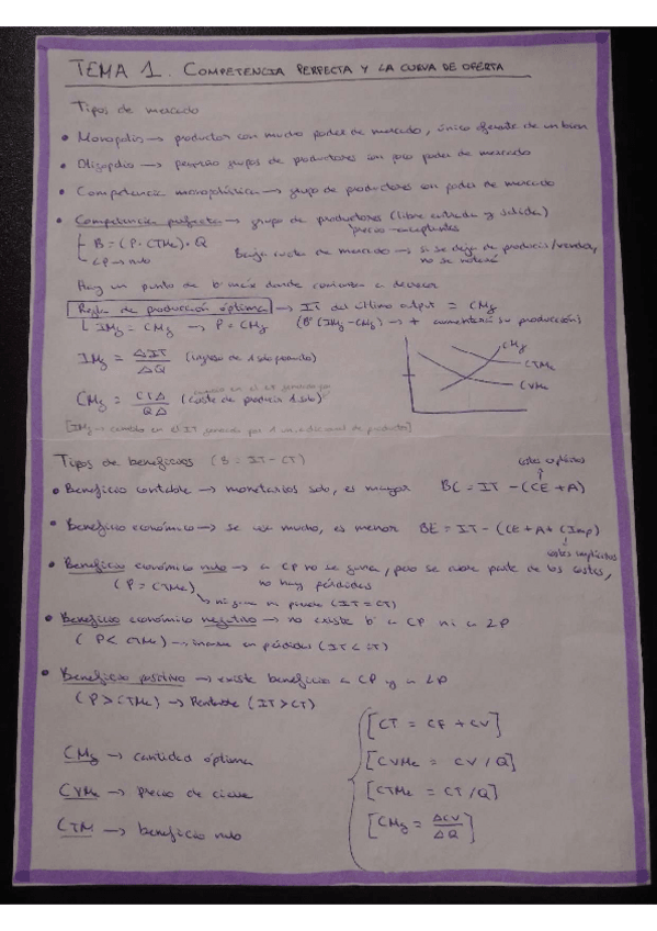 Miniatura del documento Esquema-Tema-1-Micro.pdf