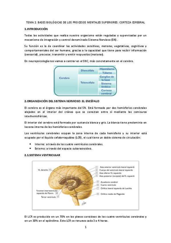 Miniatura del documento TEMA-2-Neuro.pdf