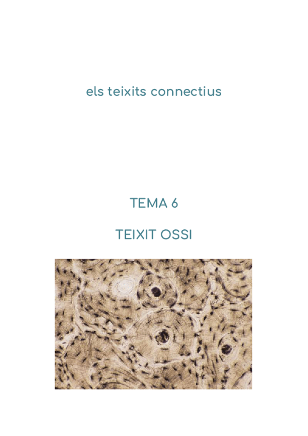 Miniatura del documento 2n-parcial-histologia-temes-6-8.pdf